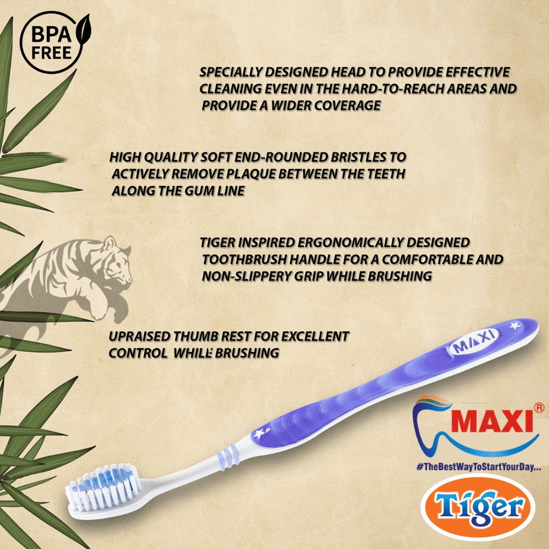 MAXI Tiger Toothbrush (Pack of 12).